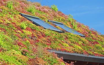 Waterham living roof systems