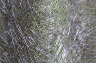 Waterham fibreglass roof work